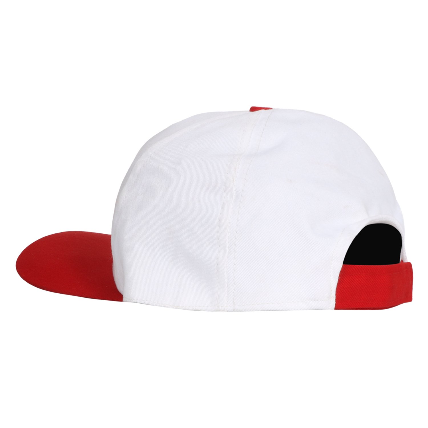 5 PANEL CAP HCP-4
