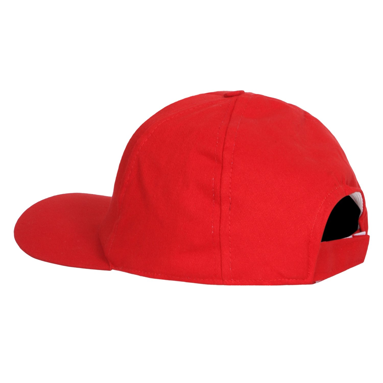 5 PANEL CAP HCP-5